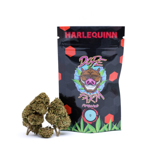Harlequin