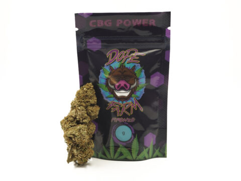 CBG Power