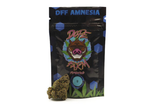 DFF Amnesia
