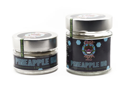 Pineapple HQ Barattolo