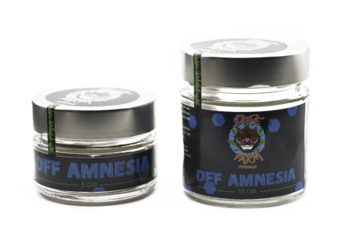 DFF Amnesia Barattolo